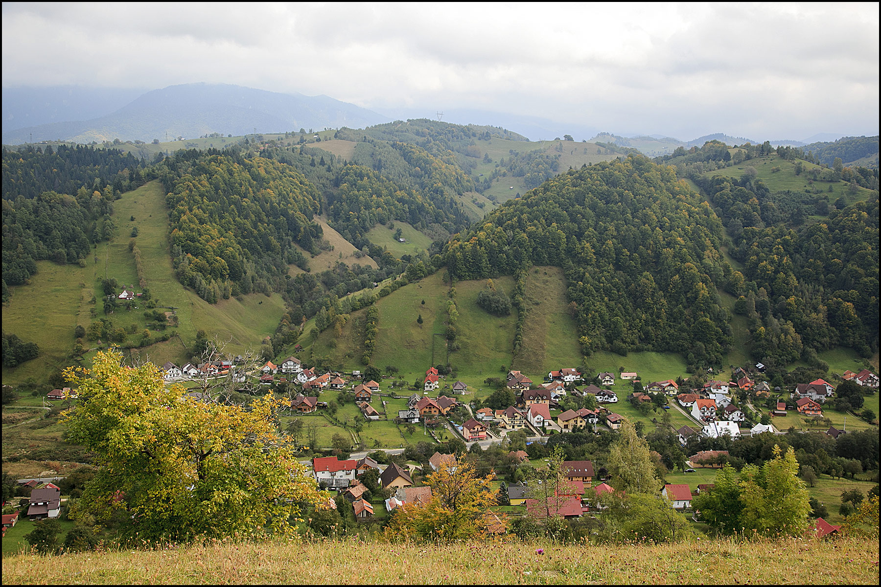 Brasov